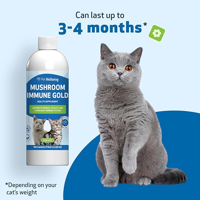 Pet Wellbeing Mushroom Immune Gold for Cats - Complementary Immune Support with Functional Mushrooms Reishi, Maitake & Turkey Tail - NASC Certified & Vet-Formulated - 8 oz Liquid Formula