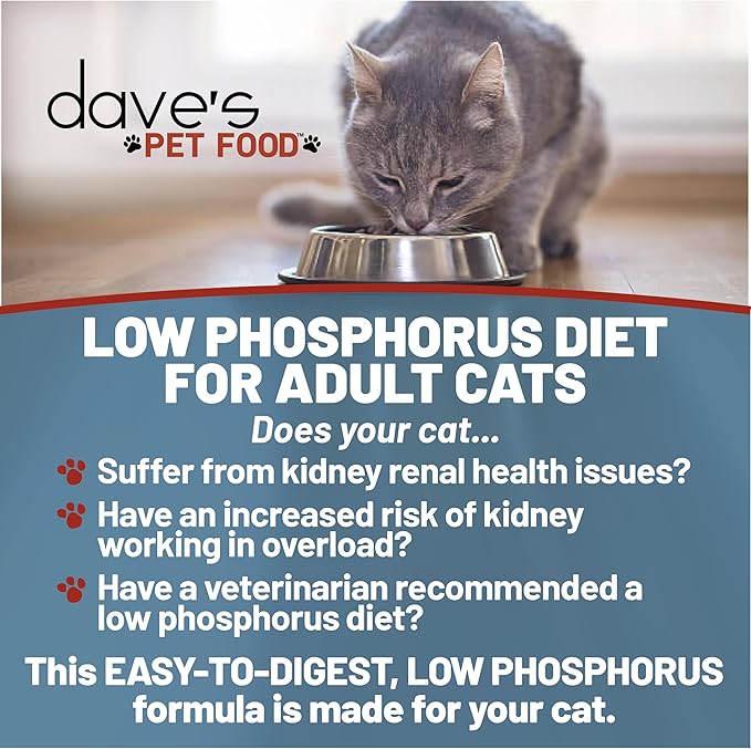 Dave's Pet Food Cat Kidney Support (Chicken & Vegetable Stew) - Low Phosphorus & Low Protein Wet Canned Cat Food for Renal Health - No Prescription Needed - 3 oz (Case of 12)