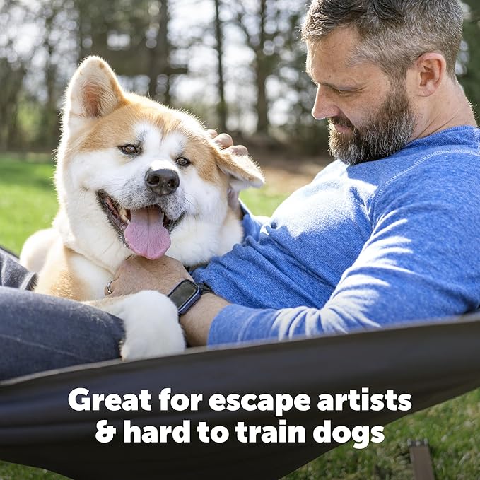 PetSafe Stubborn Dog In-Ground Fence Reciever Collar with 2 Batteries - Waterproof & Battery-Operated Adjustable Invisible Boundary Training Collar - for Dogs Weighing 8lb+