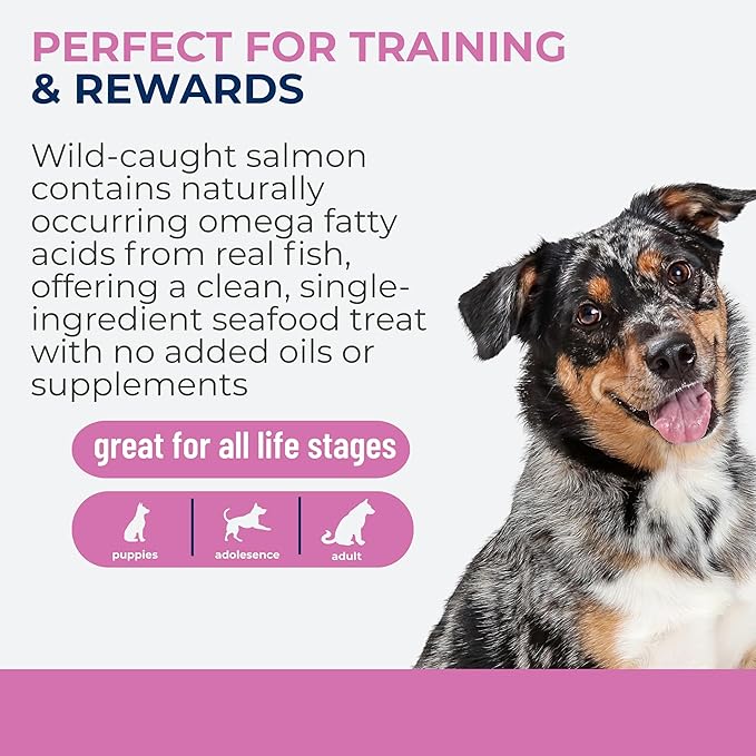 Momentum Carnivore Nutrition Freeze-Dried Wild-Caught Salmon Dog Treats & Cat Treats – Single-Ingredient, High-Protein, Grain-Free, Natural Source of Omega-3s – Made in USA – 3 oz Bag