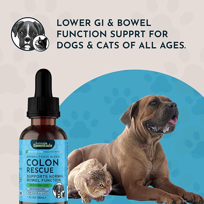 Animal Essentials Colon Rescue - Dog Stool Softener, Organic Slippery Elm Bark, Fast Acting Anti Diarrhea Liquid Drops for Dogs & Cats, Natural Constipation Relief Supplement for Pets - 2 fl oz