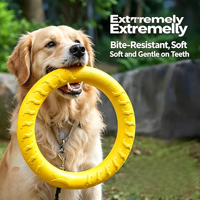 Durable EVA Dog Chew Toy Set, Indestructible Dog Frisbee, Interactive Pet Ball, Dog Pull Ring, Non-Toxic Lightweight Puppy Outdoor Training Playing Supplies for Small Medium Dogs