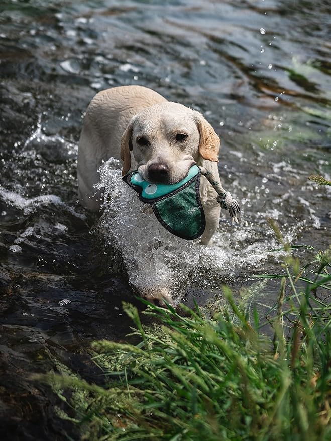 Dog Toy, Squeaky Plush Dog Toy, Rough & Tough Interactive Pet Toy, Recycled Fabric and Double Stitched (Manta)