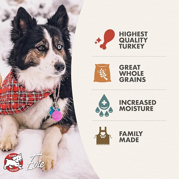 Fromm Turkey Pate Dog Food - Premium Wet Dog Food - Turkey Recipe - Case of 12 Cans