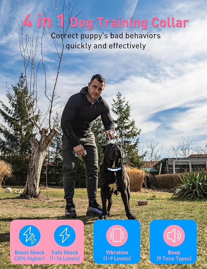 Shock Collar For Dogs 2 Pack - 3300Ft IPX7 Waterproof Shock Collar with Beep, Vibration, Shock & Boost Shock Modes, Remote Training Shock Collar for Medium Large Dogs (10-120lbs), Security Lock
