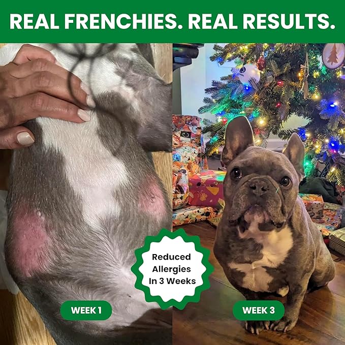 Air-Dried Dog Food for French Bulldogs - 4lb - Salmon, Superfoods, Probiotics - Hypoallergenic & Grain-Free