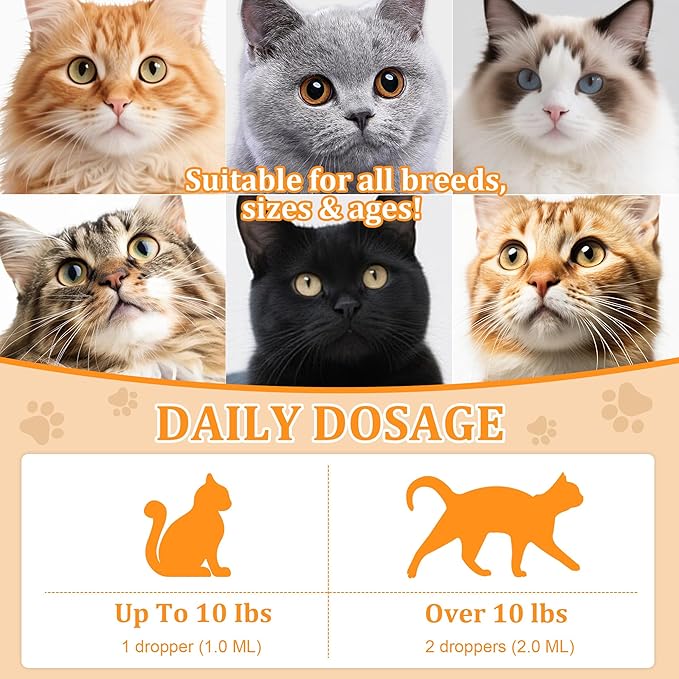 L-Lysine Supplement for Cats – Immune & Respiratory Support – 60ml Cat Lysine Drops with Roast Chicken Flavor – Supports Eye & Nose Health