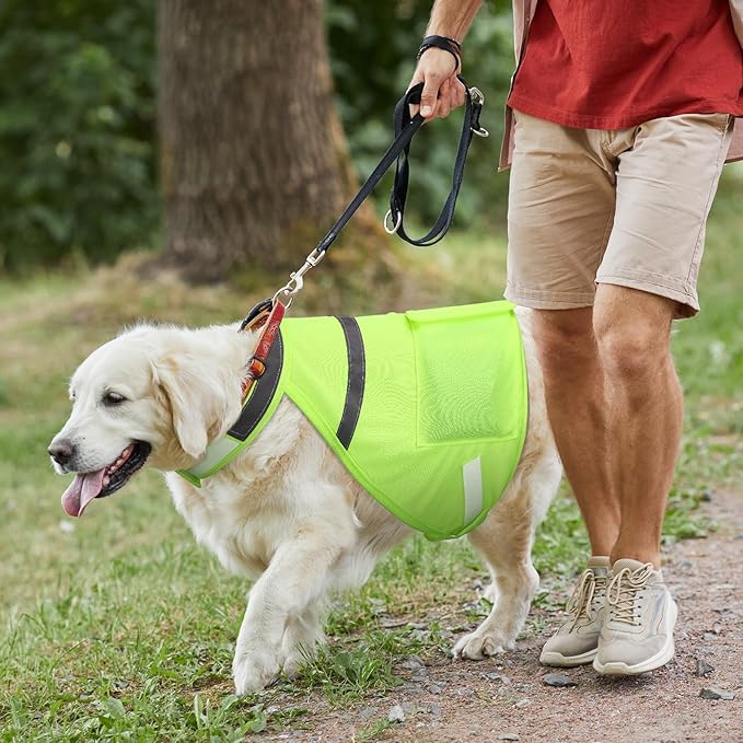 Aliceset 2 Pcs Dog Cooling Vest with 4 Recyclable Ice Pack Summer Outdoor Dog Cooling Harness Pet Adjustable Jacket Cooler(Extra Large)
