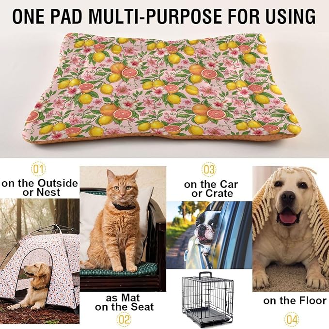 Dog Bed for Crate Washable Pet Sleep Pad, Lime Kennel Mat with Non-Slip Bottom, Soft Fluffy Supplies Pet for Dogs and Cats (36x24 inch)