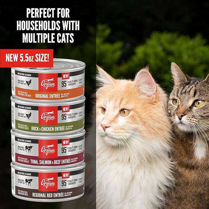 ORIJEN Premium Pate Wet Cat Food in Bone Broth Tuna Salmon & Beef Entrée 5.5oz Cans (12 Count)