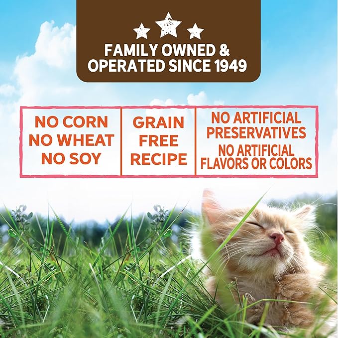 Evolve Grain Free Turkey Stew with Veggies in Gravy Wet Cat Food | 3 oz - 24 pk