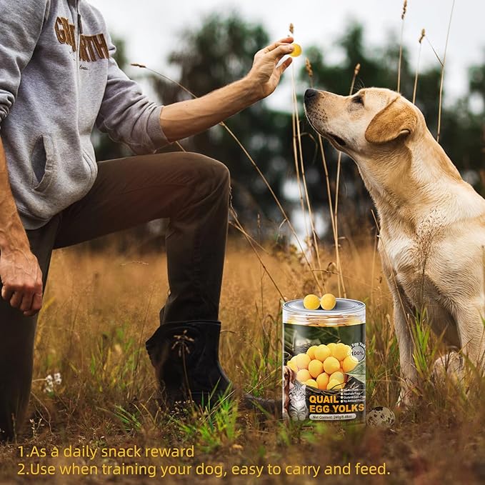Dehydrated Quail Egg Yolk Snacks for Cats and Dogs Training, Natural Dog Food Limited Ingredient, Healthy Tasty Freeze-Dried Pet Treats for Dogs Cats (L, Quail)