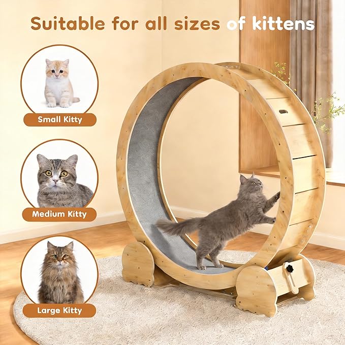 Cat Wheel for Indoor Cats, 46" Large Cat Exercise Wheel with Detachable Carpet, Silent Cat Treadmill with Safety Lock for Small & Adult Cats, Quiet for Nighttime Use, Natural Wood Color
