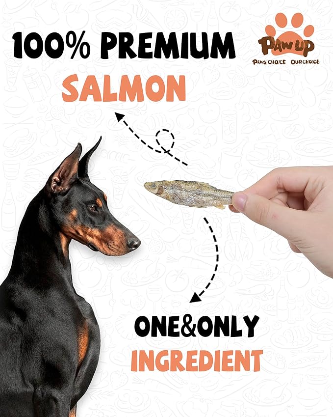 PAWUP Freeze-Dried Dog Treats Beef Liver & Salmon Single Ingredient Raw Dog Food Toppers, Healthy Training Treats for Dogs,3.8 oz