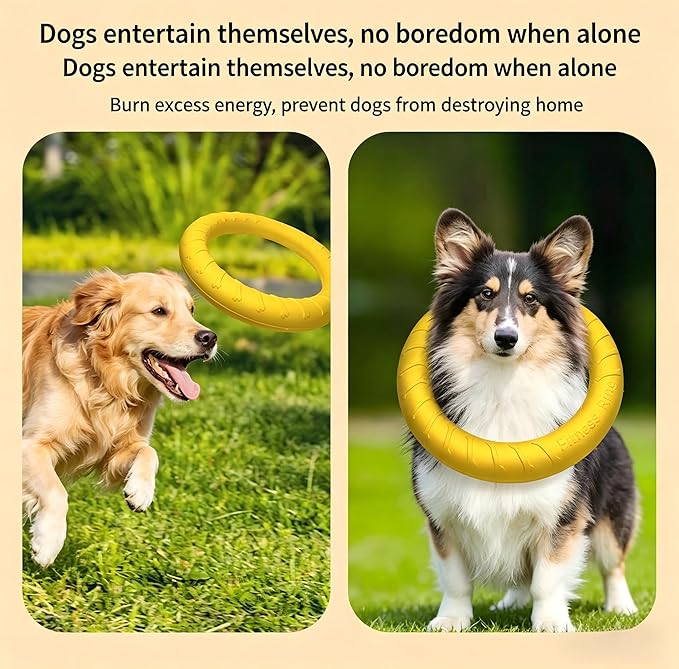 Durable EVA Dog Chew Toy Set, Indestructible Dog Frisbee, Interactive Pet Ball, Dog Pull Ring, Non-Toxic Lightweight Puppy Outdoor Training Playing Supplies for Small Medium Dogs