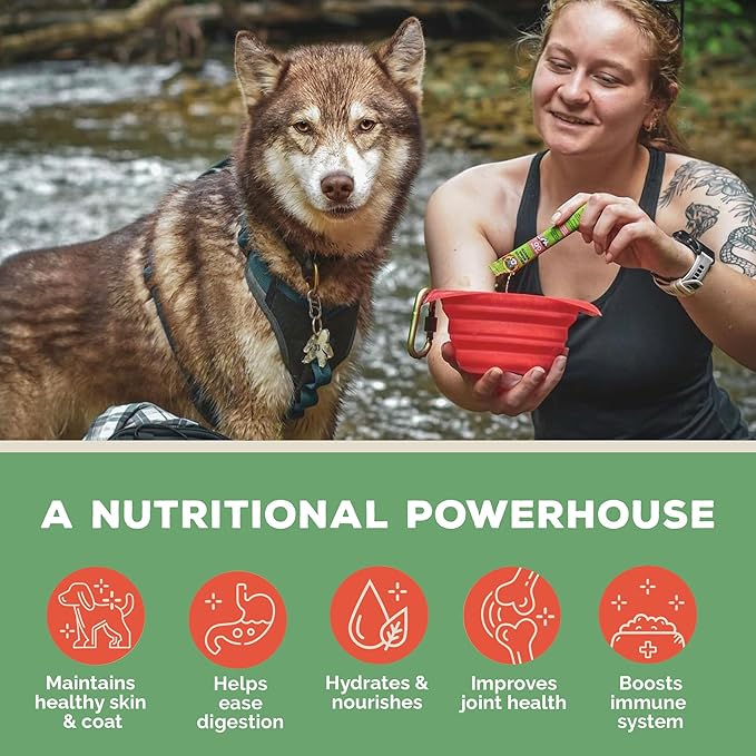 Brutus Broth Instant On The Go Vegetable Powder for Dogs - Vegetable Powder with Omegas 3, 6 & 9 & Turmeric - Human Grade Food Toppers for Dry Food & Picky Eaters - 5 Stick (Vegetable Flavor)