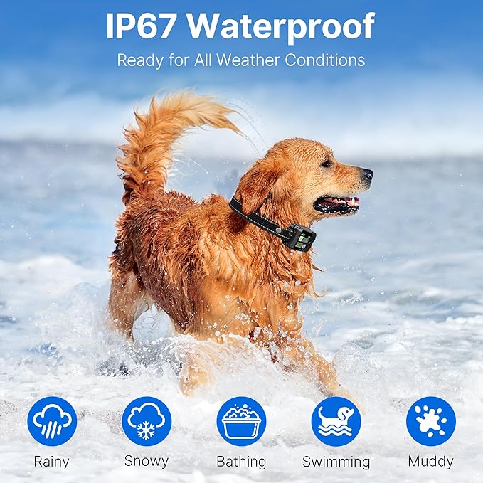 GPS Wireless Dog Fence System, Circular Electric Fence for Dogs | Adjustable Range from 49 to 6561 ft | GPS Positioning, Protection Mode, 100% Waterproof | Outdoor Use Only
