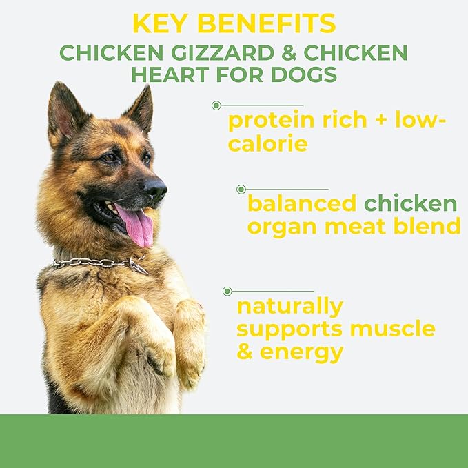 Momentum Carnivore Nutrition Freeze-Dried Chicken Training Bites – Two Ingredients-Chicken Gizzard and Heart, All-Natural Dog Treats –Made in USA – Perfect for Training & Rewards- 2.5 oz Bag