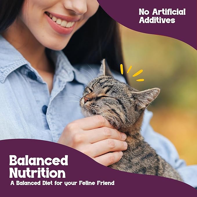Beefeaters Turkey Liver Pate Wet Cat Food 5.5oz (24-Pack) | Adult Wet Food with Taurine, Premium Catfood Wet Food, No Artificial Additives, Balanced Nutrition | Supports Immune System & Vision
