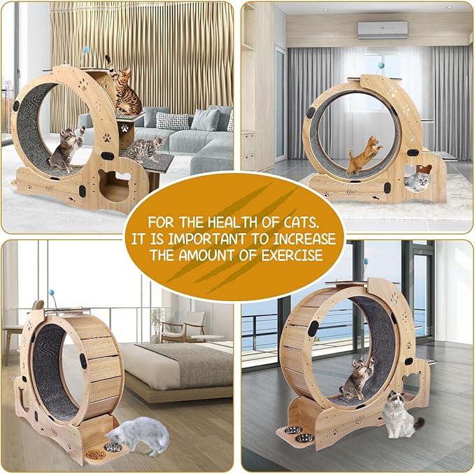 Cat Wheel 6-in-1 Upgraded Exercise Wheel for Indoor Cats: Large Treadmill with Silent Running Wheel, Perfect Cat Furniture & Toy for Endless Fun & Fitness