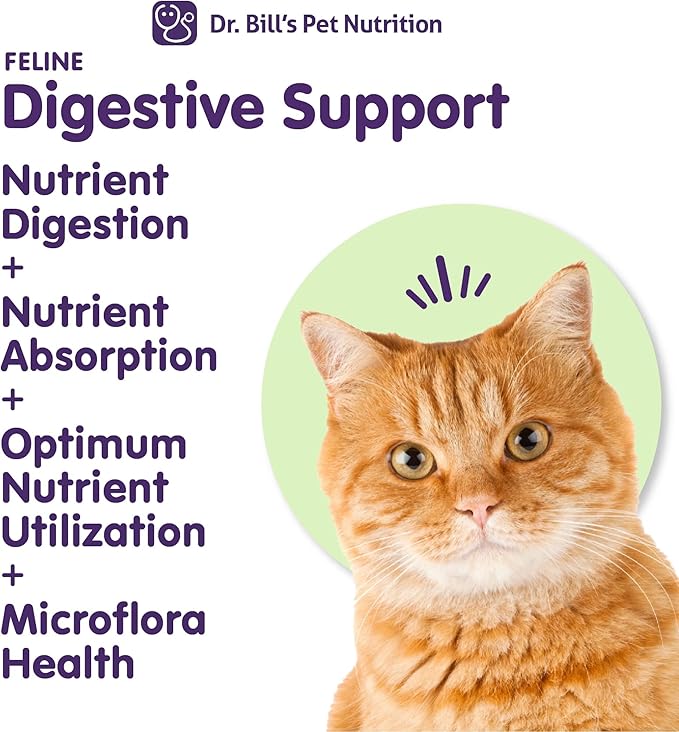 Feline Digestive & Immune Support Bundle | Cat Probiotics, Enzymes, Colostrum & Antioxidants for Gut Health, Strong Immunity & Faster Recovery | Vet-Formulated Cat Supplements