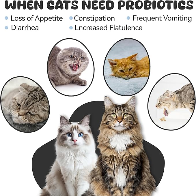 Probiotics for Cat, Boosts Immune System, Improves Digestion, Supports Gut Health, Relieves and Prevents Diarrhea and Soft Stools, Salmon-Flavored Chewable Tablets - 30 Tablets (120g)