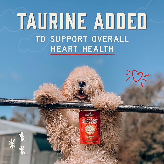 Stella & Chewy's Cage Free Chicken & Turkey Shredrs - Premium Dog Food Pouches - Perfect For Picky Eaters - 24 Pack, 2.8oz Each
