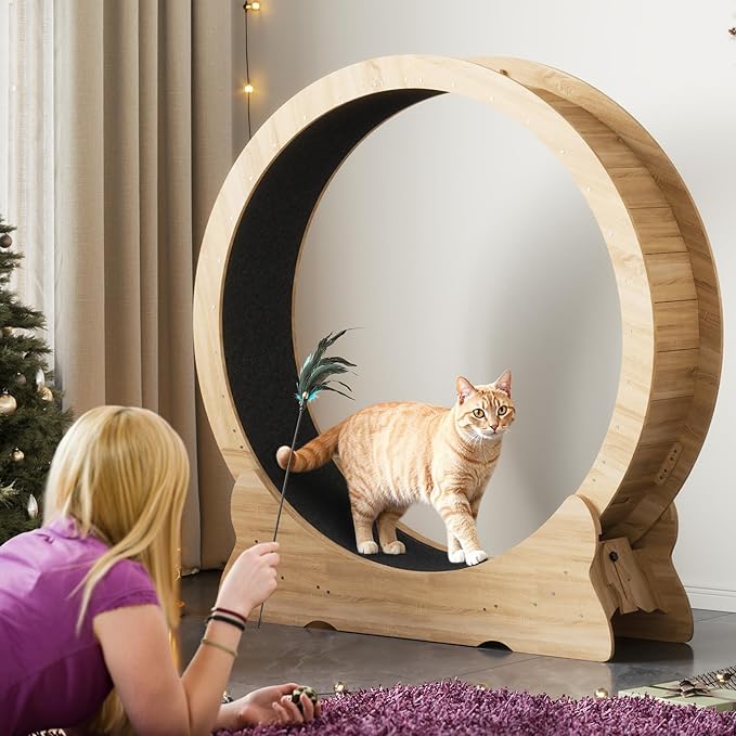 Cat Exercise Wheel, 46'' Cat Wheel for Indoor Cats with Carpeted Runway, XL Treadmill with Removable Carpet and Teaser, for Running Walking Training (Natural Wood)