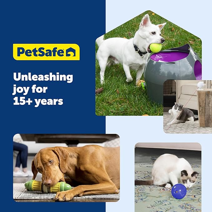PetSafe Busy Buddy Bristle Bone - Chew Toy for Dental Health Support - Durable Dog Plaything for Tough Chewers - Includes 4 Refillable Treat Rings - Safe Chew Toy for Large Dogs (50-90 lbs)