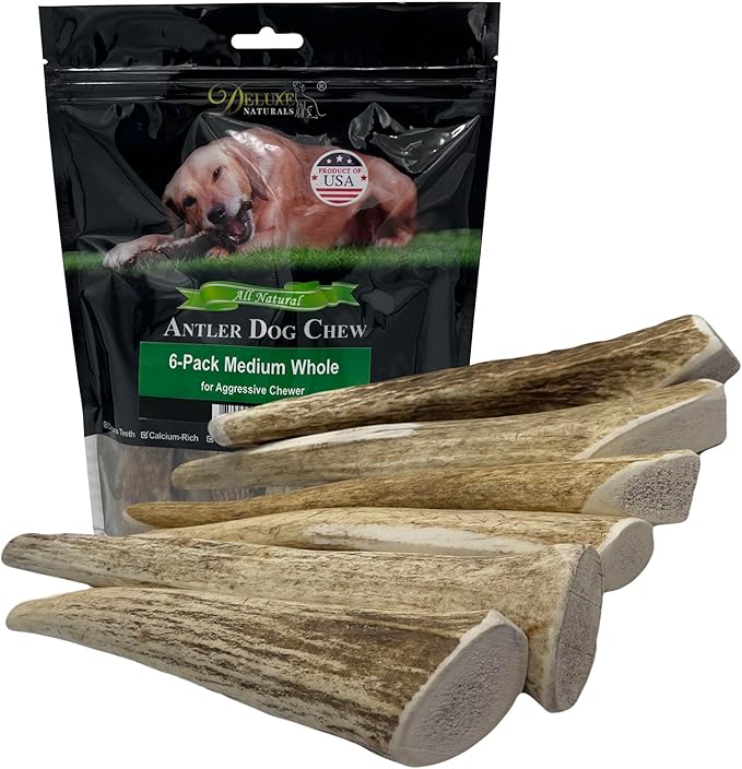 Elk Antler Dog Chews | Long-Lasting A-Grade Premium Elk Antler Chews for Dogs from Naturally Shed Elk Antlers Collected in The USA, Whole, Medium (Pack of 6)