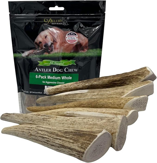 Elk Antler Dog Chews | Long-Lasting A-Grade Premium Elk Antler Chews for Dogs from Naturally Shed Elk Antlers Collected in The USA, Whole, Medium (Pack of 6)
