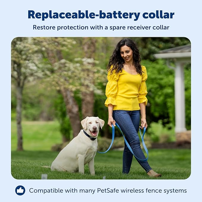 PetSafe Stay & Play Wireless Fence Replaceable Battery Receiver Collar - Waterproof & Battery-Operated Adjustable Static Correction Collar - for Dogs 5lb+