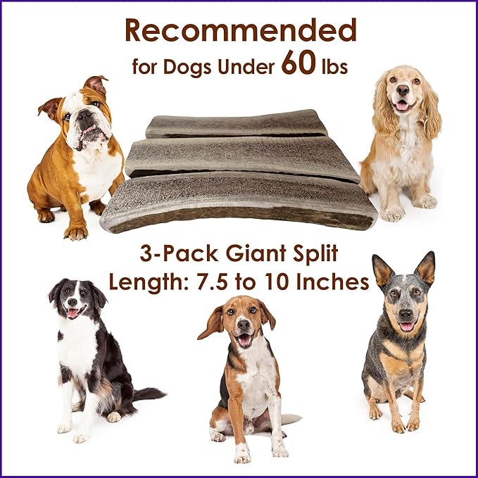 3‑Pack Giant Split Elk Antler Dog Chews for Medium & Large Dogs Under 60 lbs – 7.5‑10 Inch Center‑Split, Premium Grade‑A, Naturally Shed, USA‑Sourced