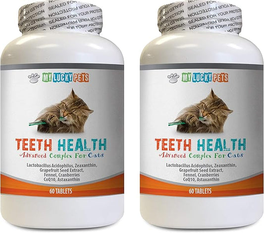 Cats Teeth Care - CAT Teeth Health Formula - Gum and Oral Care - Immune Booster - Advanced Complex - Cats Immune - 2 Bottles (120 Tablets)