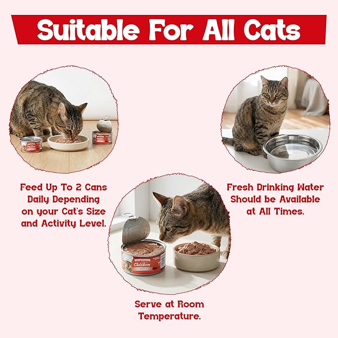 Beefeaters Chicken Pate Cat Treats Wet Cat Food 3oz (24-Pack) | Adult Wet Food with Taurine, Premium Catfood Wet Food, No Artificial Additives, Balanced Nutrition | Supports Immune System & Vision