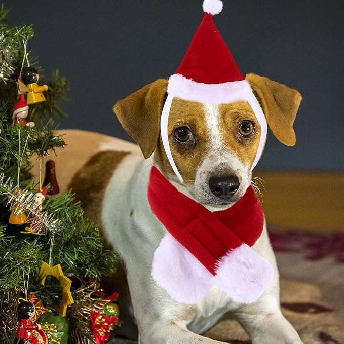 SHOWERORO Christmas Pet Costume Set Dog and Cat Scarf and Hat Accessories L Size Holiday Party Supplies