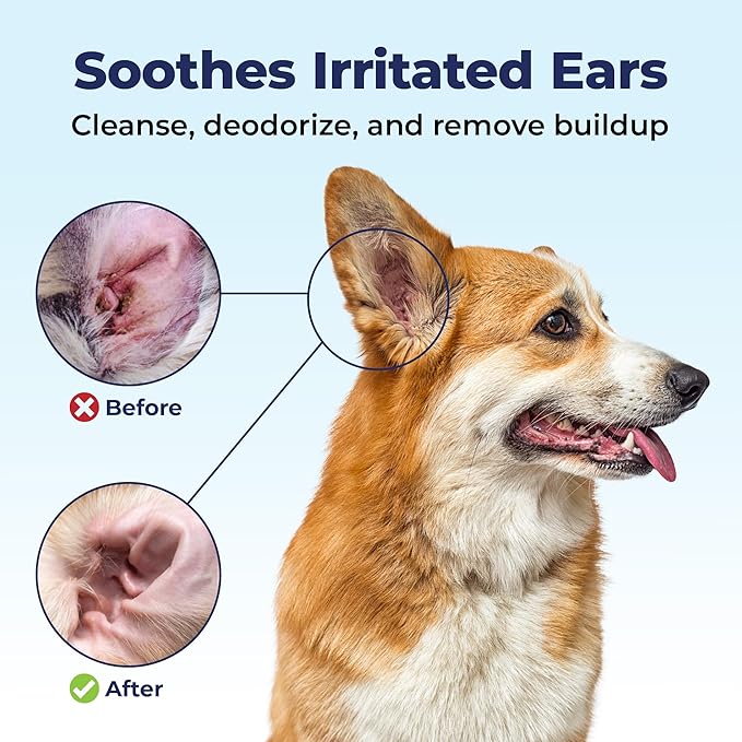 Vetnique Oticbliss Cat & Dog Ear Wipes - Dog Ear Infection Treatment or Dog Ear Cleaner Wipes for Dirty, Waxy, Smelly Dog Ears, Odor Control with Aloe Vera & Salicylic Acid (X-Lg Ear Cleaning Wipes)