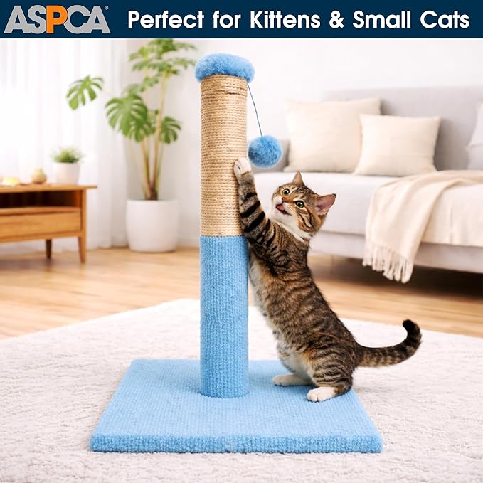 ASPCA Cat Scratching Post for Indoor Cats – Compact Sisal Rope Scratcher with Hanging Teaser Toy – Space-Saving Scratching Post for Kittens & Small to Medium Cats