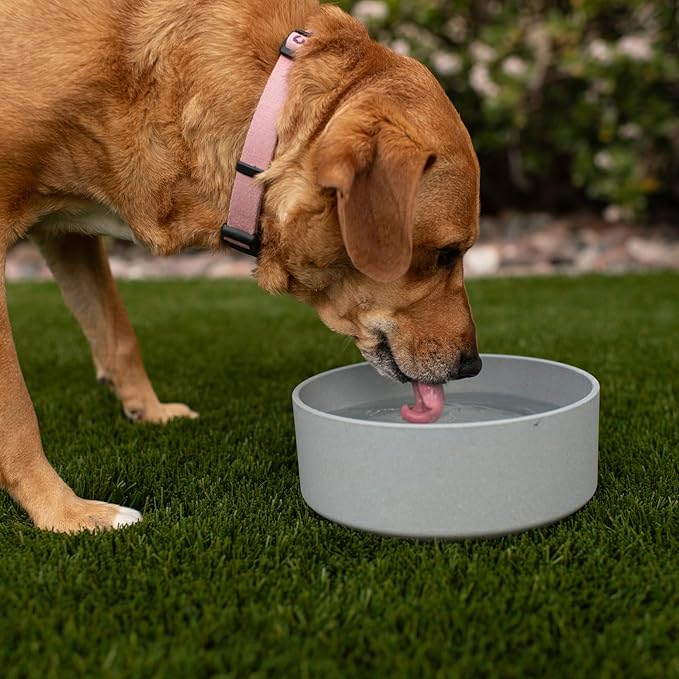 Loving Pets - Dolce Bamboo - Eco-Friendly Pet Bowls & Dishes for Dog, Cats, Puppy Food and Water Dish -Sustainable and Dishwasher Safe, Made with Real Bamboo (Medium, Slate-Grey)