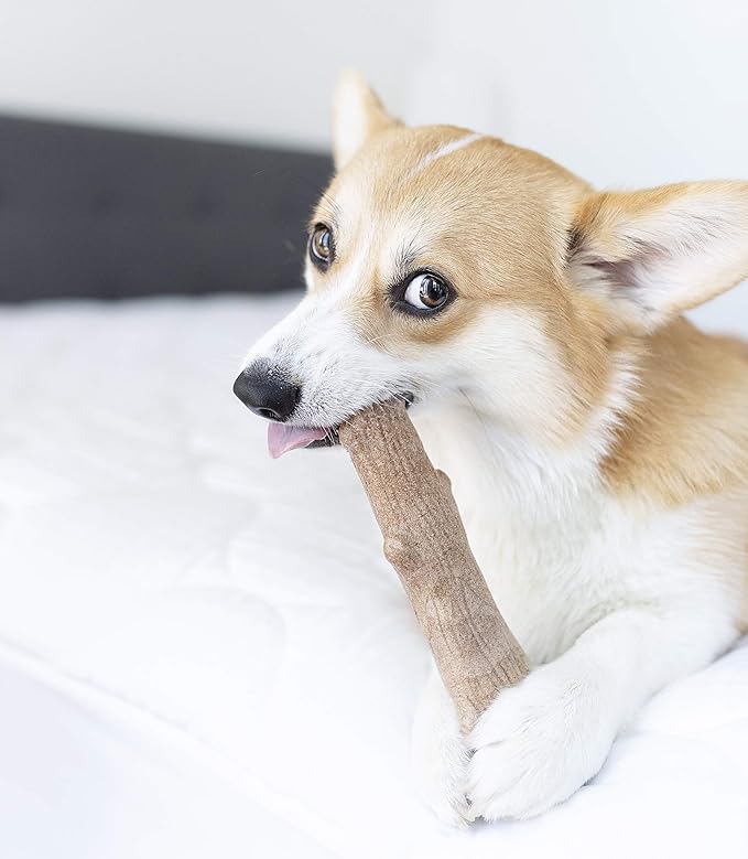 Pupstages Dogwood Dog Chew Toy – Real-Wood Blend, Natural Flavor & Texture, Moderate Chewers, Medium, 7.5"