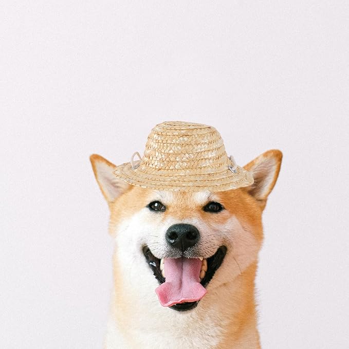 Pet Straw Sunshade Hat for Dogs and Cats, Woven Straw Hat with Cotton Rope, Small Size, Casual Outdoor Dress-up Accessory for Summer Pet Supplies Random Color