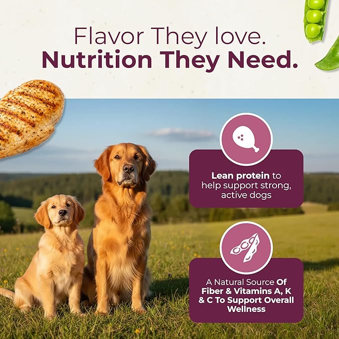 Bone Broth + Marrow Topper for Dogs - Chicken & Green Pea, 8 fl oz - Grain-Free, AAFCO-Compliant, Small-Batch Nutritional Topper