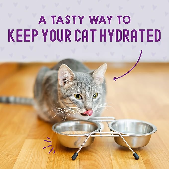 Stella & Chewy's Carnivore Cravings Wet Cat Food - Premium Pouches - Grain Free, High Protein Tuna & Pumpkin - Perfect for Picky Eaters - Complete Meal or Topper (2.8 oz, 12 Pack)
