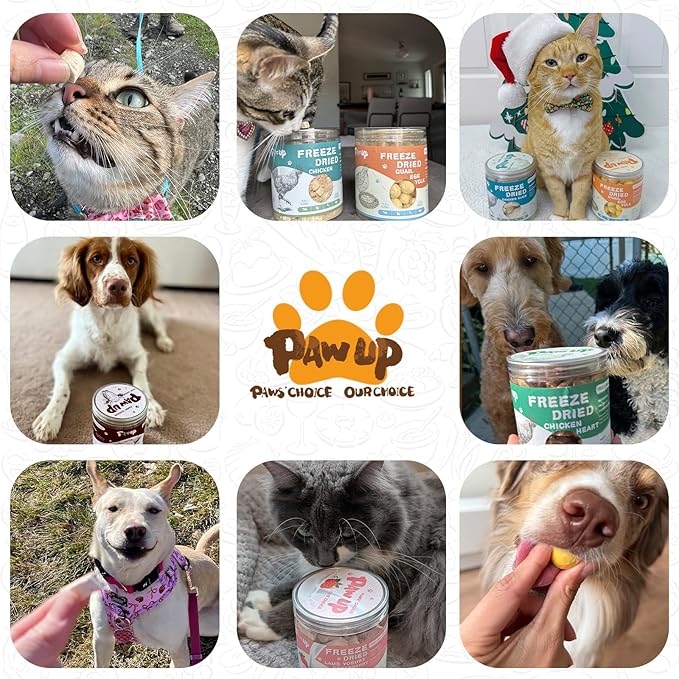 PAWUP Freeze-Dried Beef Liver Dog Treats, Single Ingredient, High Protein, All Natural, Bite-Sized Dog Treat Liver for Training Reward & Food Topper, 3.8 oz