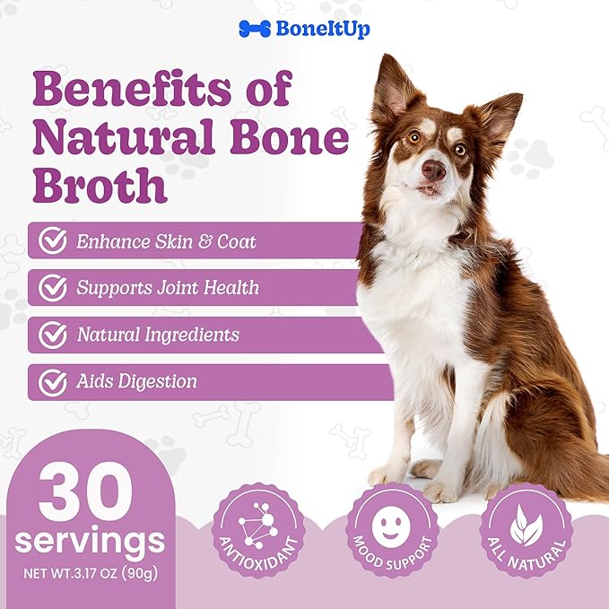 BoneItUp Dog Bone Broth Powder - Made with Real Beef & Chicken, Nutritious & Hydrating Dog Bone Broth Topper for Picky Eaters - Healthy Joints, Coat, Digestion Support (30 Servings)