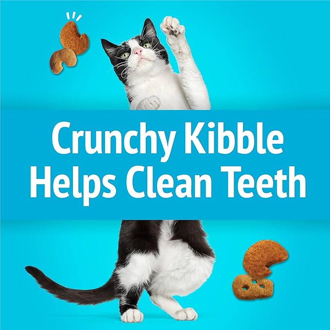Purina Friskies Cat Treats, Party Mix Lobster & Mac 'N' Cheese Flavors - (Pack of 6) 6 oz. Pouches