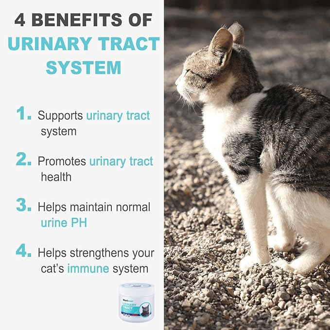 Urinary Tract Support for Cats – Cranberry, D-Mannose & Marshmallow Root – Soft Chews for Bladder & Kidney Health – Chicken Flavor – 100 Chews