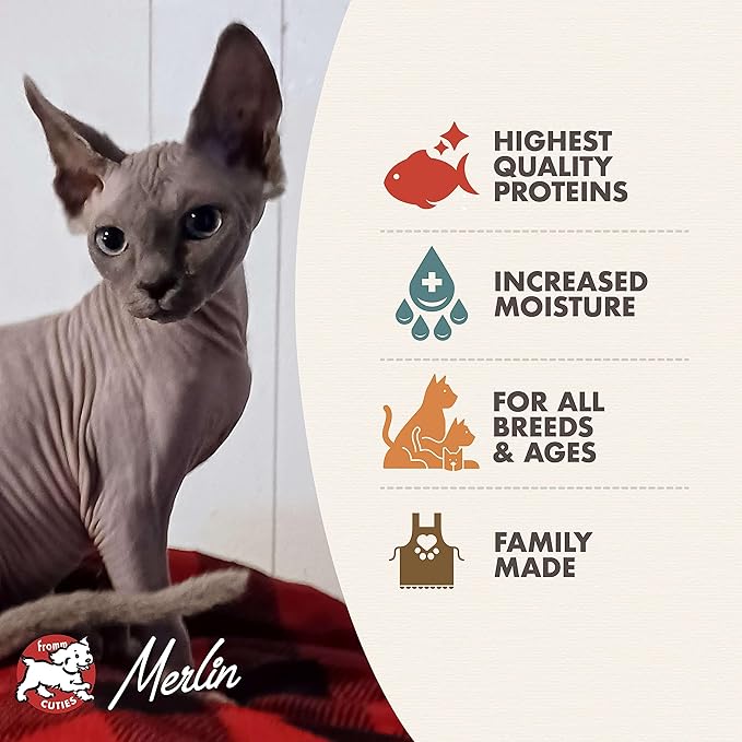 Fromm Four-Star Nutritionals Salmon & Tuna Pate Cat Food - Premium Wet Cat Food - Salmon Recipe - Case of (12) 5.5 oz Cans