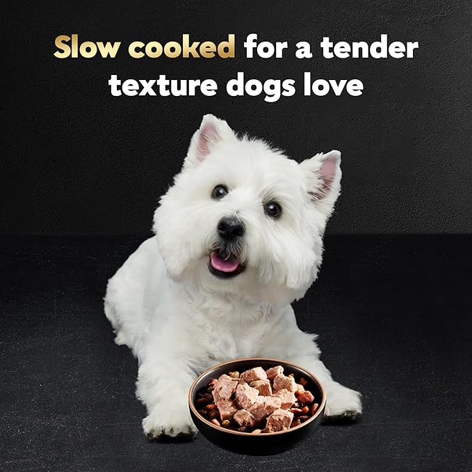 Cesar Wet Dog Food Classic Loaf in Sauce Butcher's Selects Variety Pack, Dry-Aged Ribeye Flavor and Filet Mignon Flavor, 3.5 oz. Easy Peel Trays, Variety Pack, 12 Count