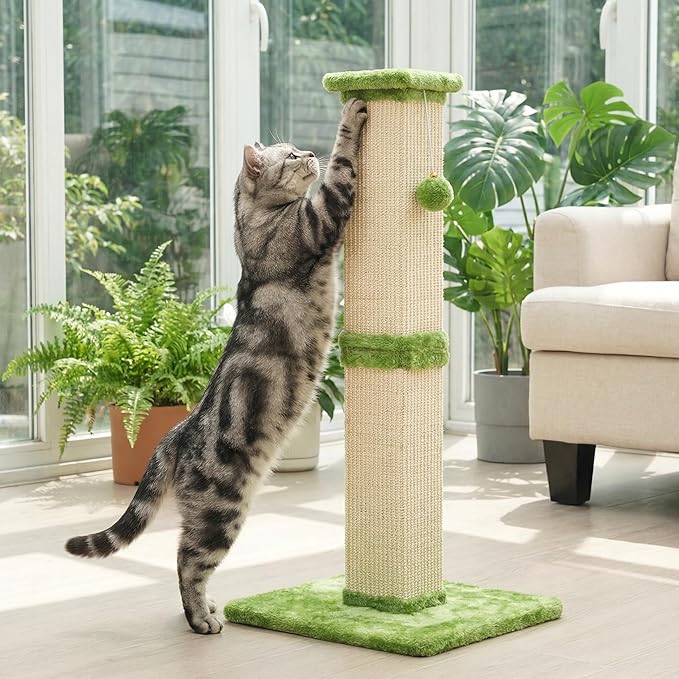 Tall Cat Scratching Post, 32'' Heavy Duty and Thick Scratching Post, Scratching Post for Adult Cats, Thick Sisal Rope with Hanging Ball, Green